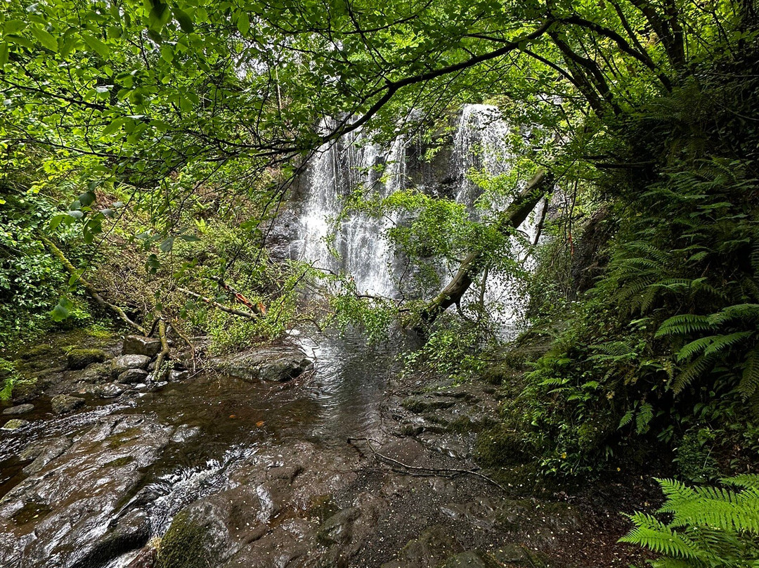 Glenariff Forest Park-County Antrim必去景点