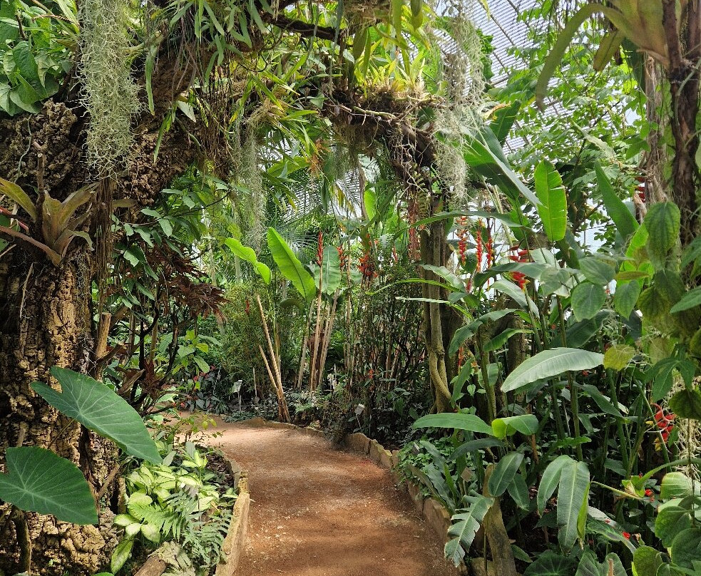 Jardin botanique de Genève-Pregny-Chambesy必去景点