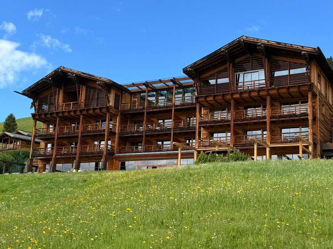 ADLER Lodge ALPE主图