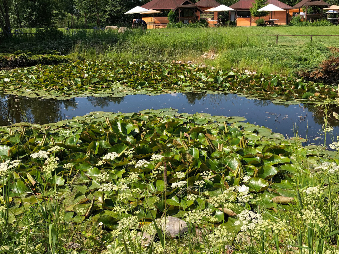 Bird Park Vorobyi-Vorobi必去景点