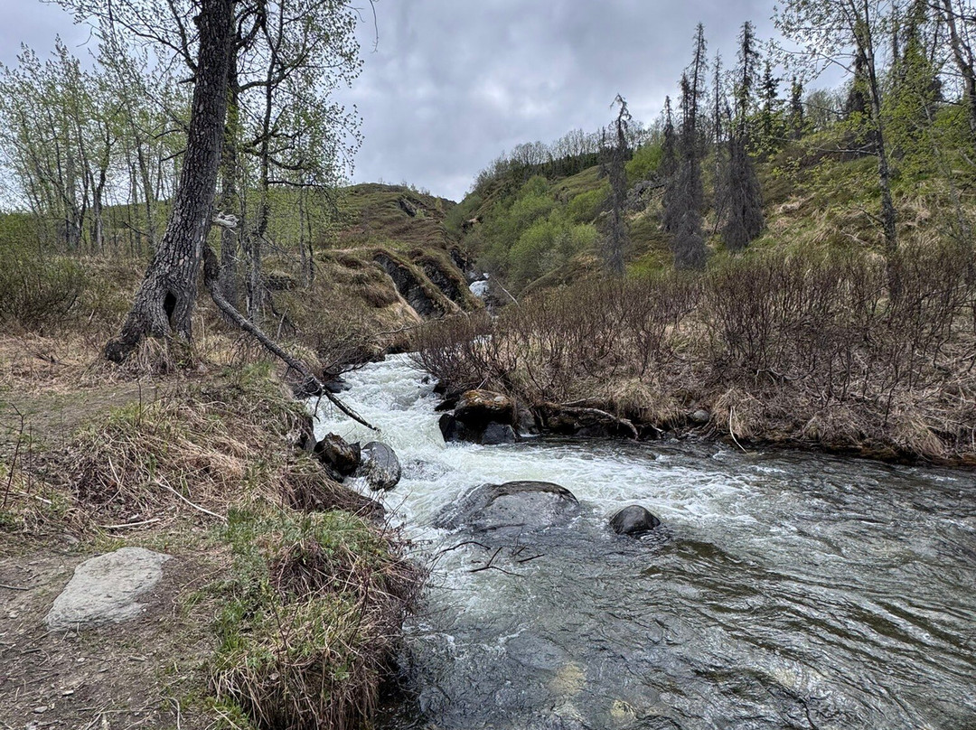 Snowhook Adventure Guides of Alaska-Willow必去景点