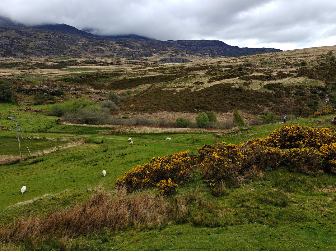 Dolwyddelan Castle-Dolwyddelan必去景点