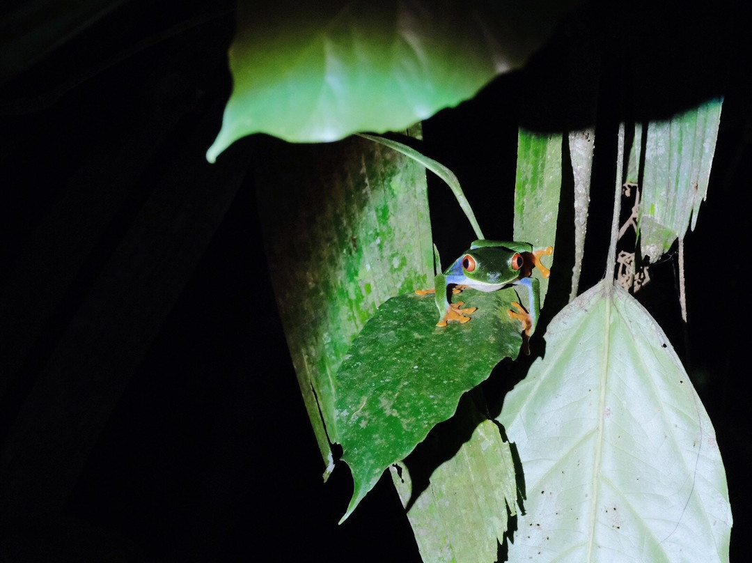 Rio Celeste By Chris Tours-San Rafael de Guatuso必去景点