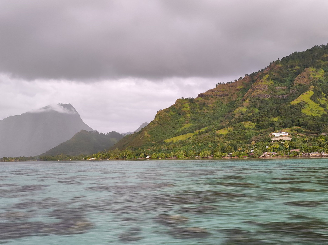 Moorea Tiki Tour-Paopao必去景点