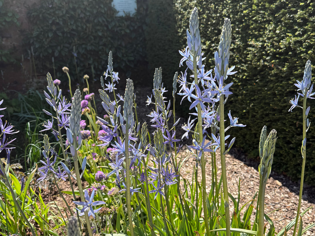 Threave Garden & Nature Reserve-Castle Douglas必去景点