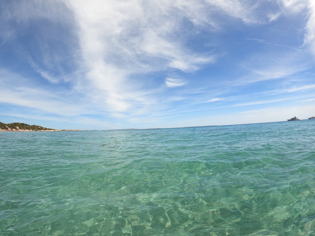 Playa de Ses Salines-Ses Salines必去景点