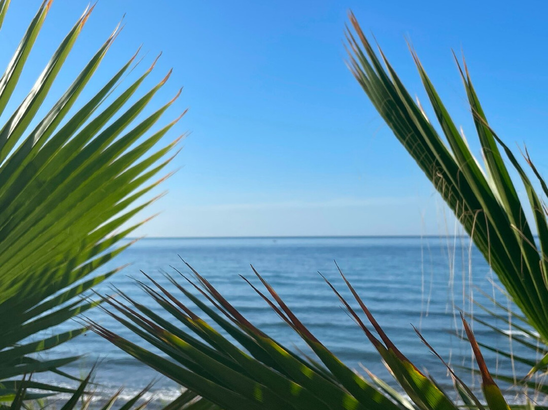 Senda Litoral de Estepona-埃斯特波纳必去景点