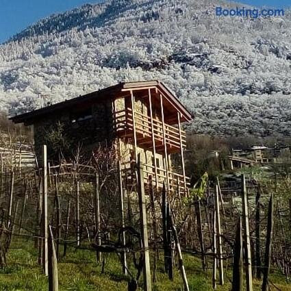Una casa tra gli alberi
