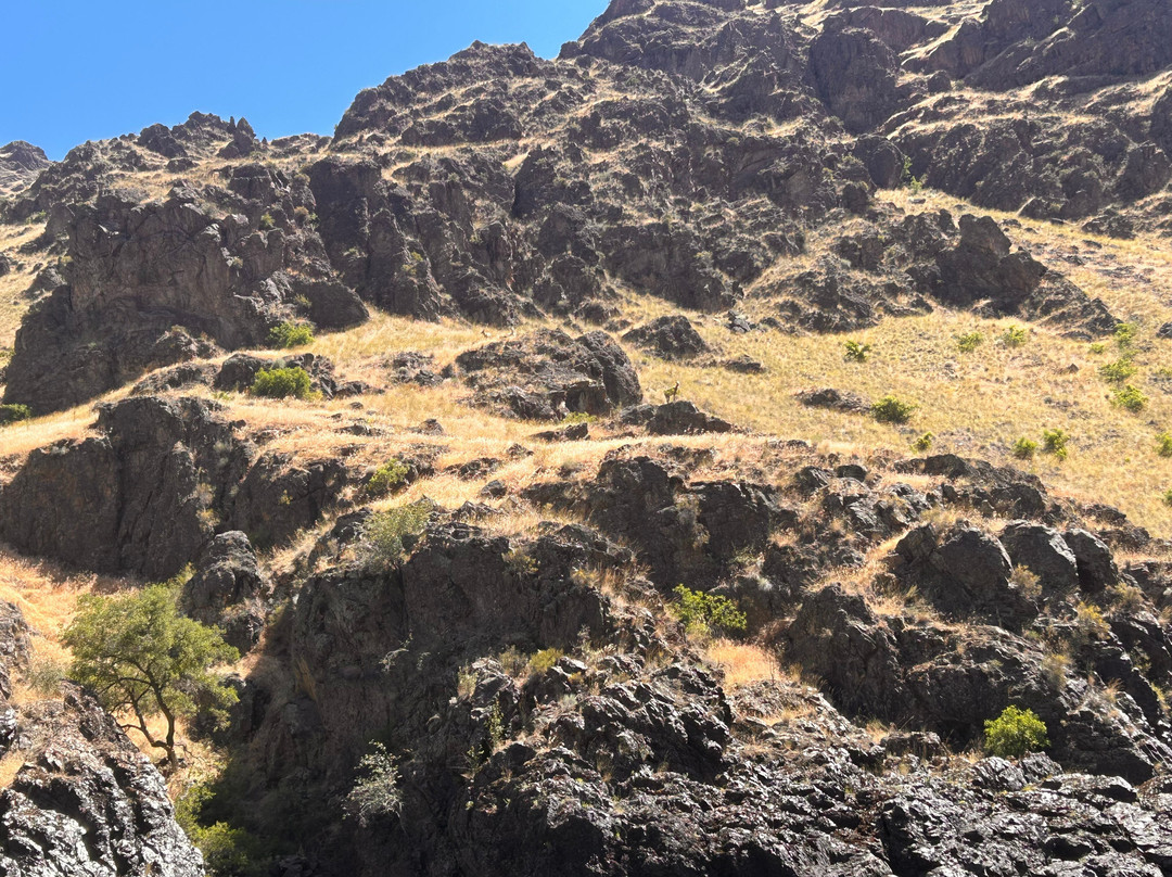 Killgore Adventures Hells Canyon Jet Boat Trips & Fishing Trips-White Bird必去景点