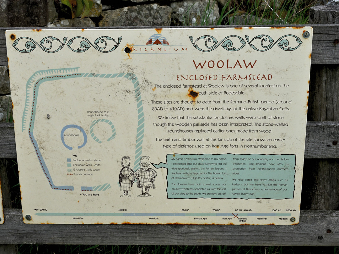 Brigantium Woolaw