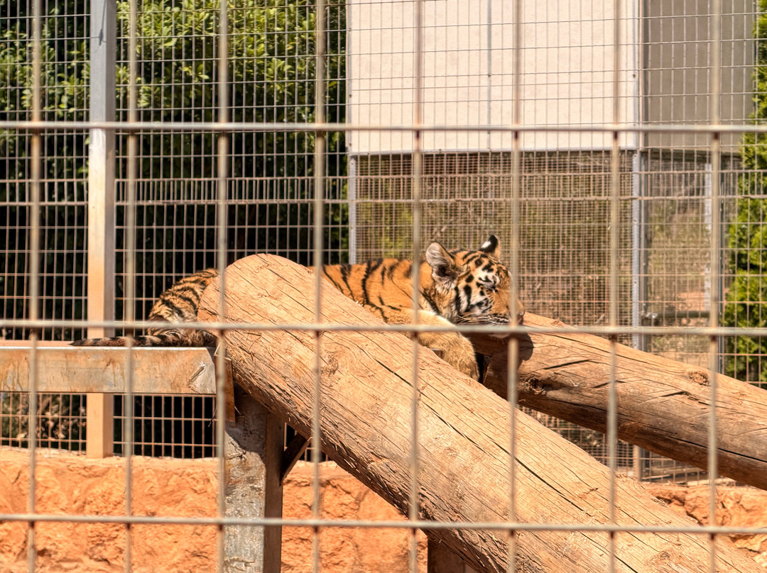 Pafos Zoo-帕福斯必去景点