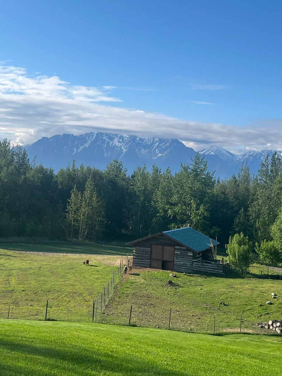 Alaska's Harvest Bed & Breakfast-旅行者
