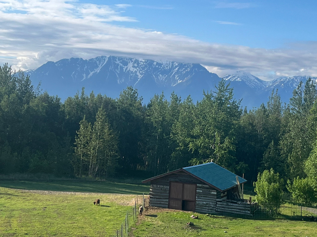 Alaska's Harvest Bed & Breakfast主图