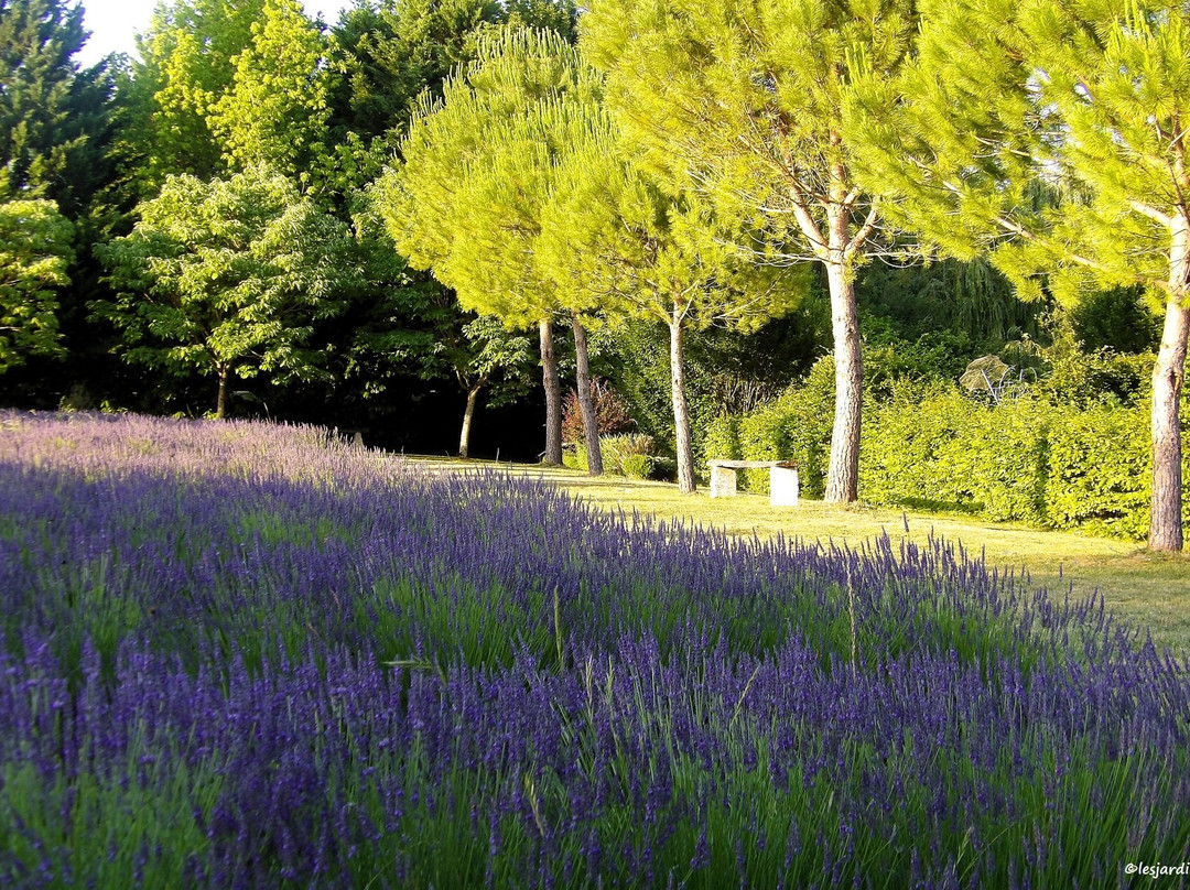 Les jardins du Coq-Montignac-le-Coq必去景点