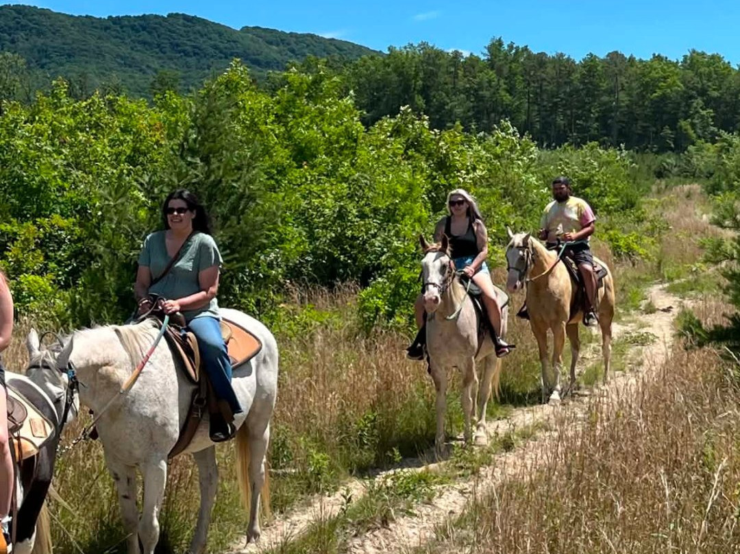 Appalachian Horse Adventures-温泉村必去景点