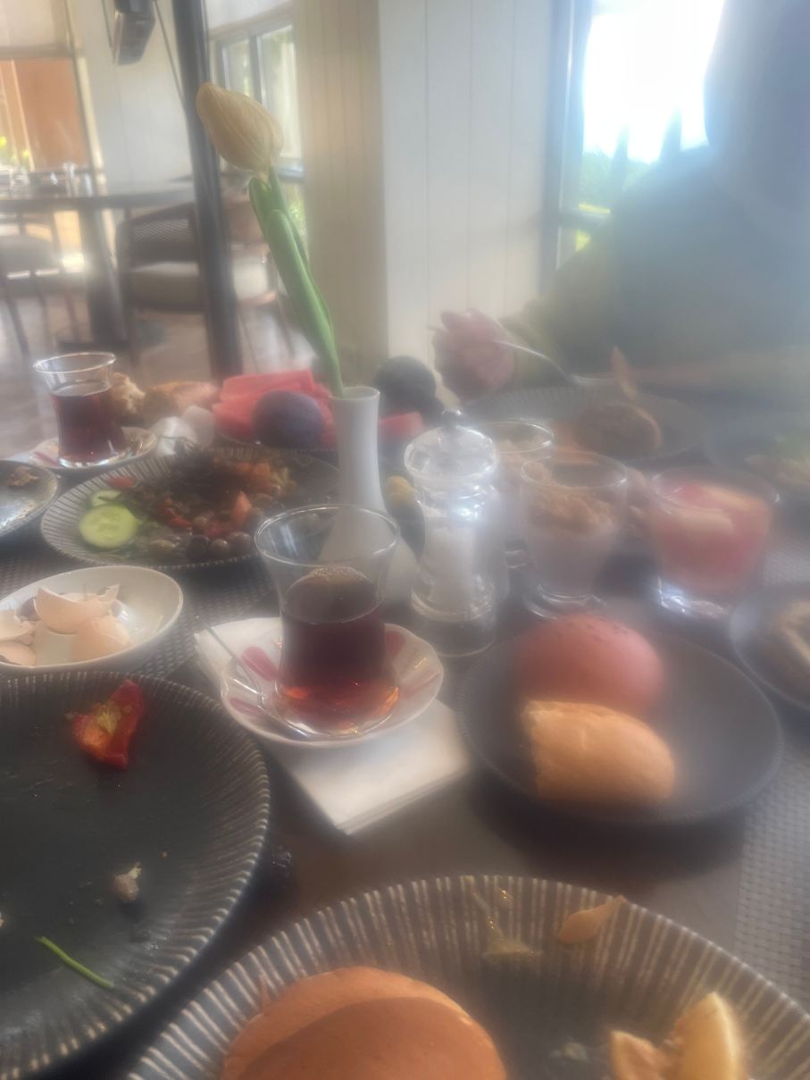 梅尔辛希尔顿酒店-旅行者