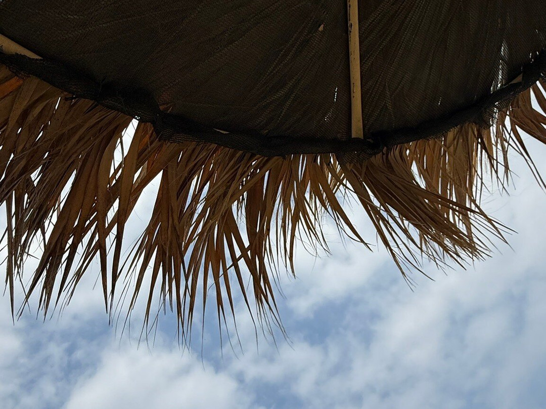 Oasis At Ayfilon主图