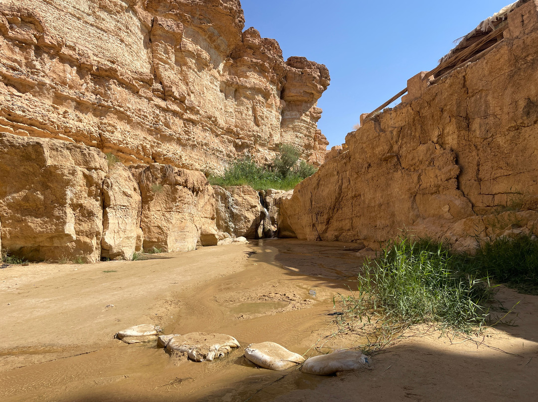 Tamerza Canyon-吐泽尔必去景点