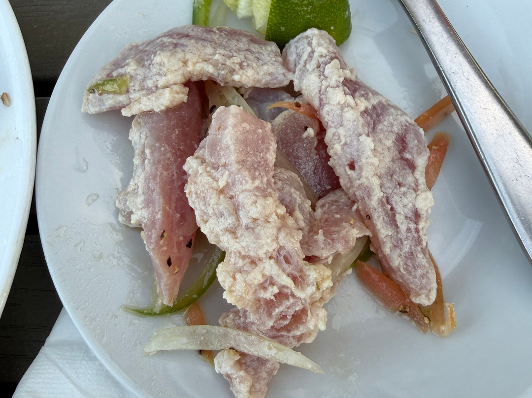 Panoply Sport Fishing & Luxury Charters-普罗维登西亚莱斯必去景点