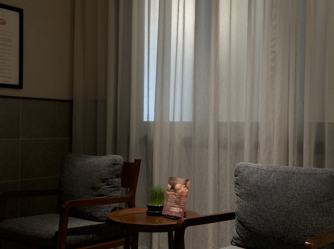 Ozone Spa & Wellness - Little Oasis-会安必去景点