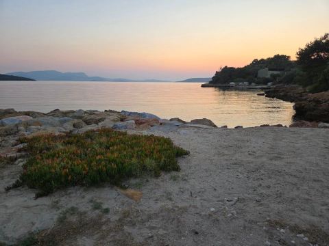 博德鲁姆拉布兰克岛酒店 - 全包式-旅行者