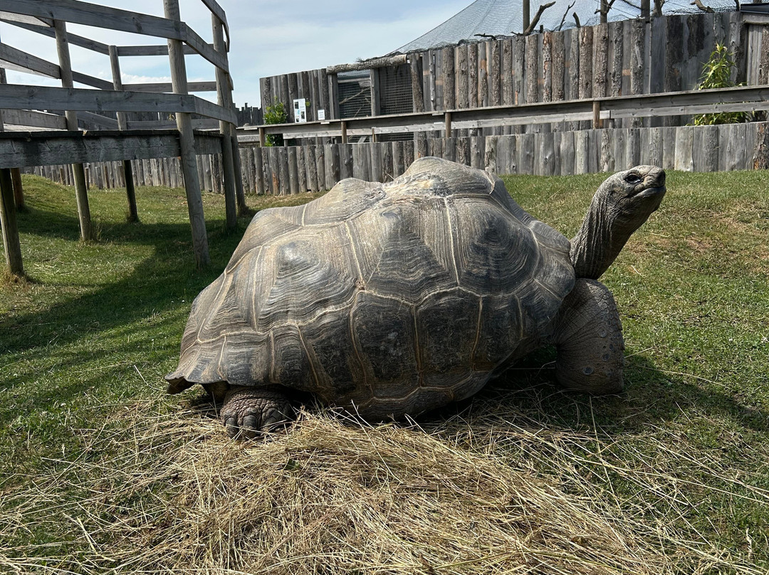 Krokodille Zoo-Eskilstrup必去景点