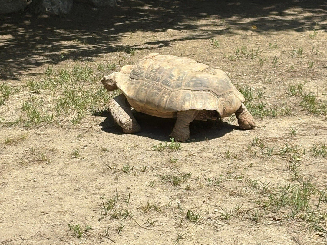 Zoo Zagreb-萨格勒布必去景点