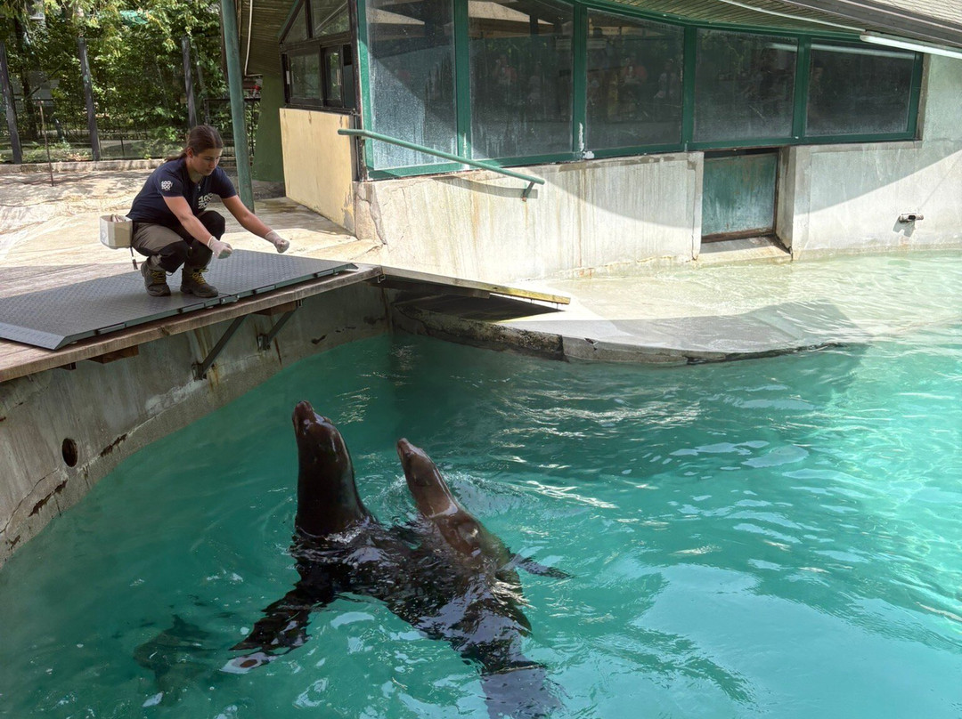 Zoo Zagreb-萨格勒布必去景点