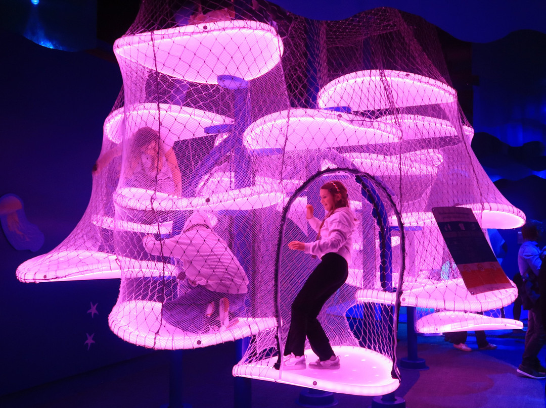 VilVite Bergen Science Center-卑尔根必去景点