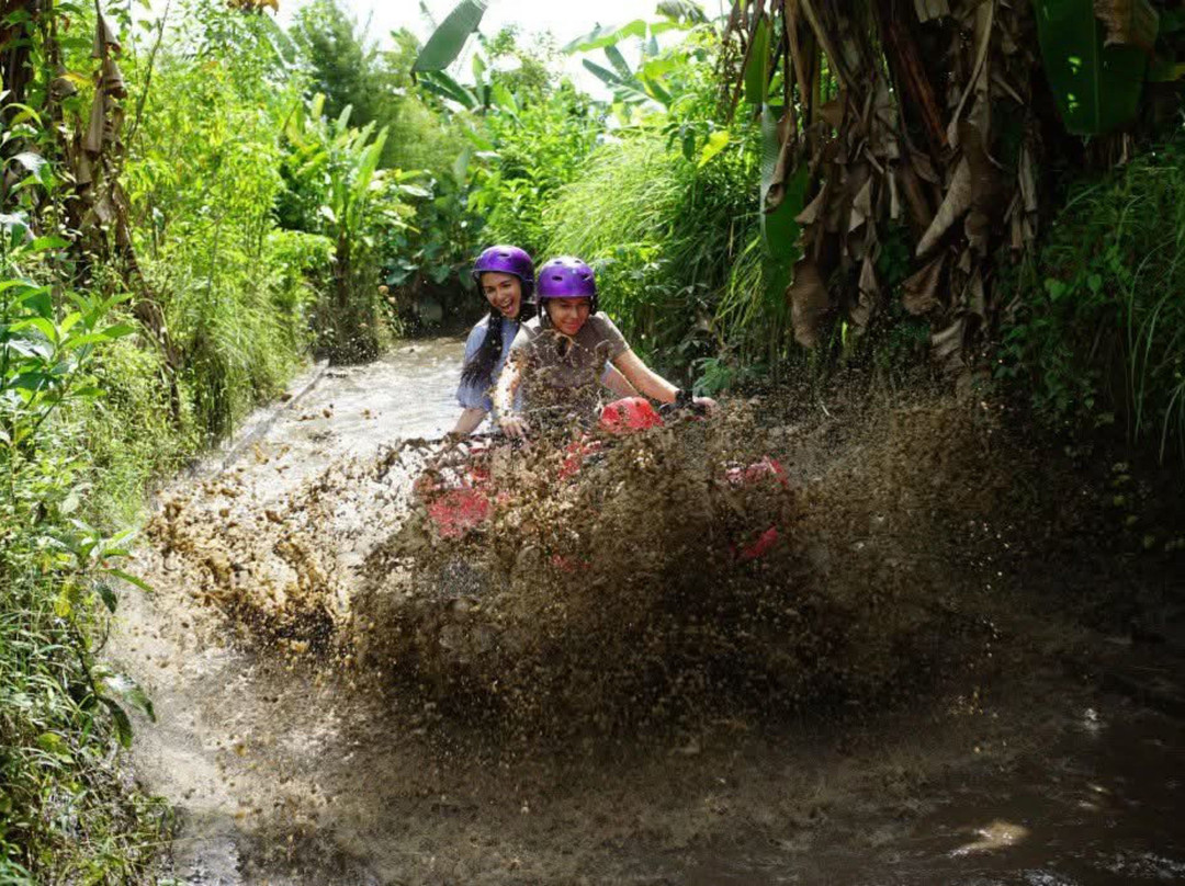 Artha bali tours-乌布必去景点