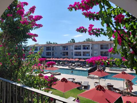 Bitzaro Grande Hotel-旅行者
