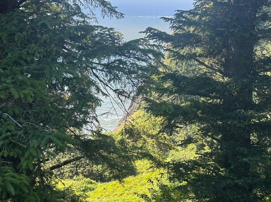 Neahkahnie Viewpoint-Arch Cape必去景点