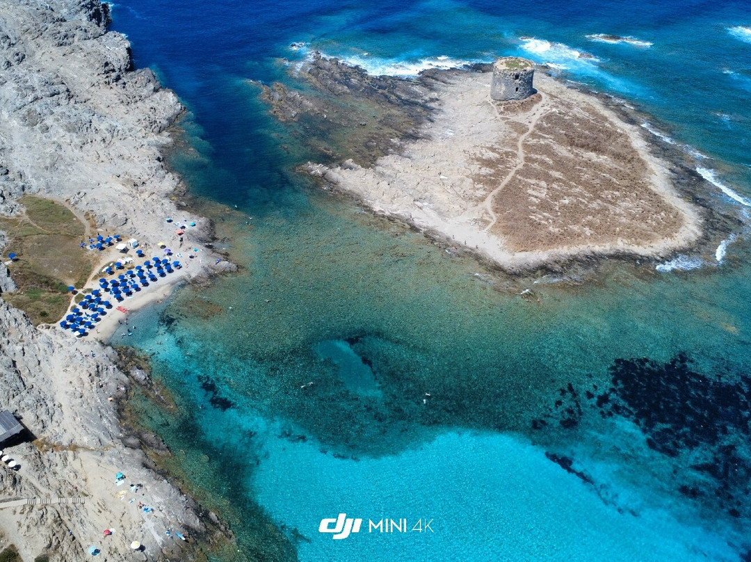 Spiaggia della Pelosetta-斯廷蒂诺必去景点