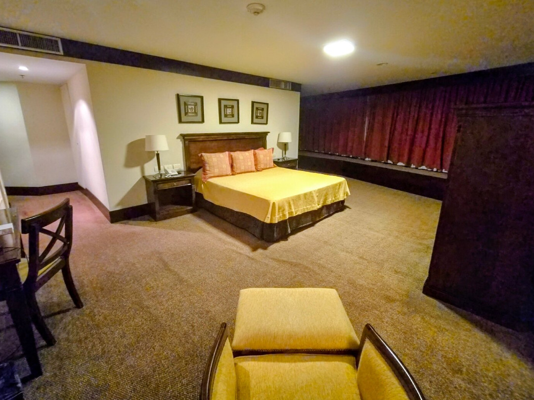 阿梅里安 宴会酒店主图