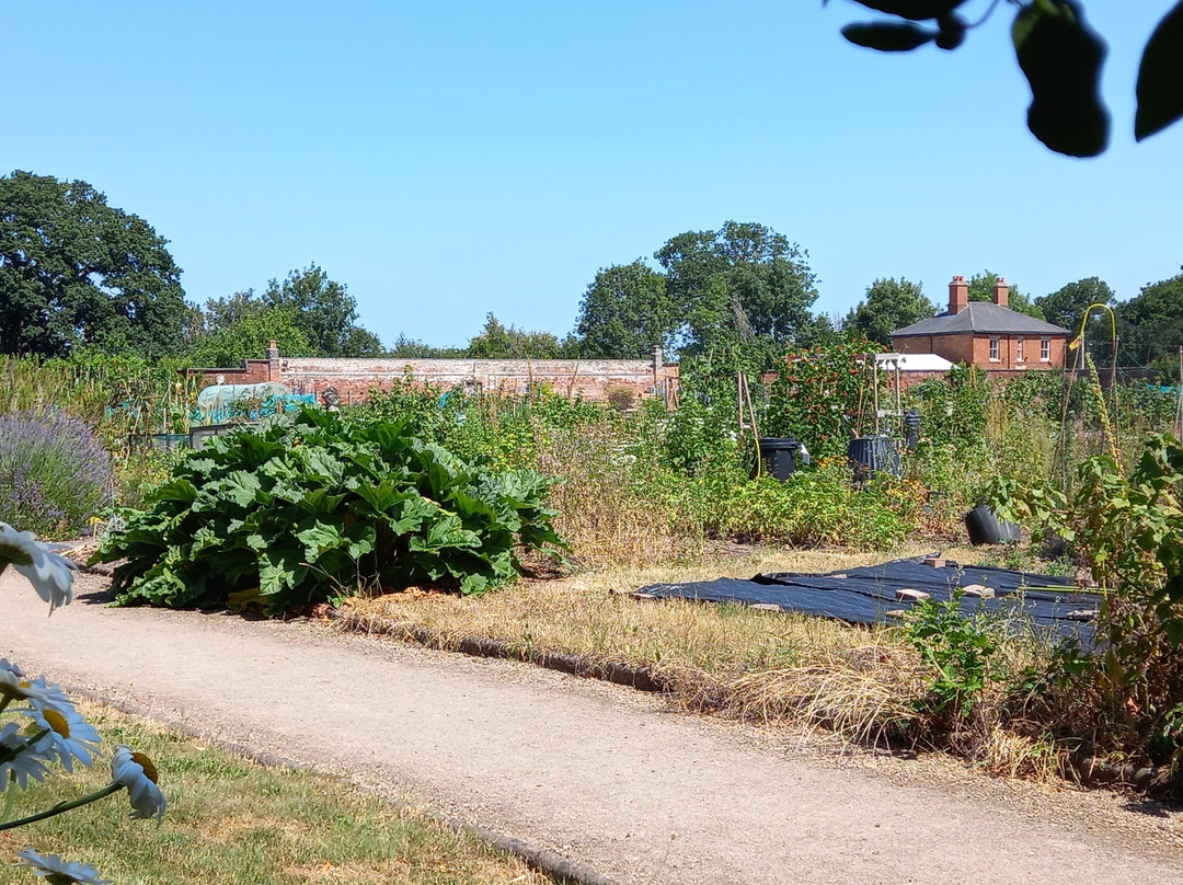 Elford Walled Garden-Elford必去景点