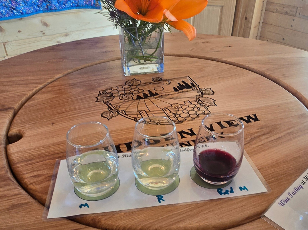 Hidden View Winery-梅德福必去景点