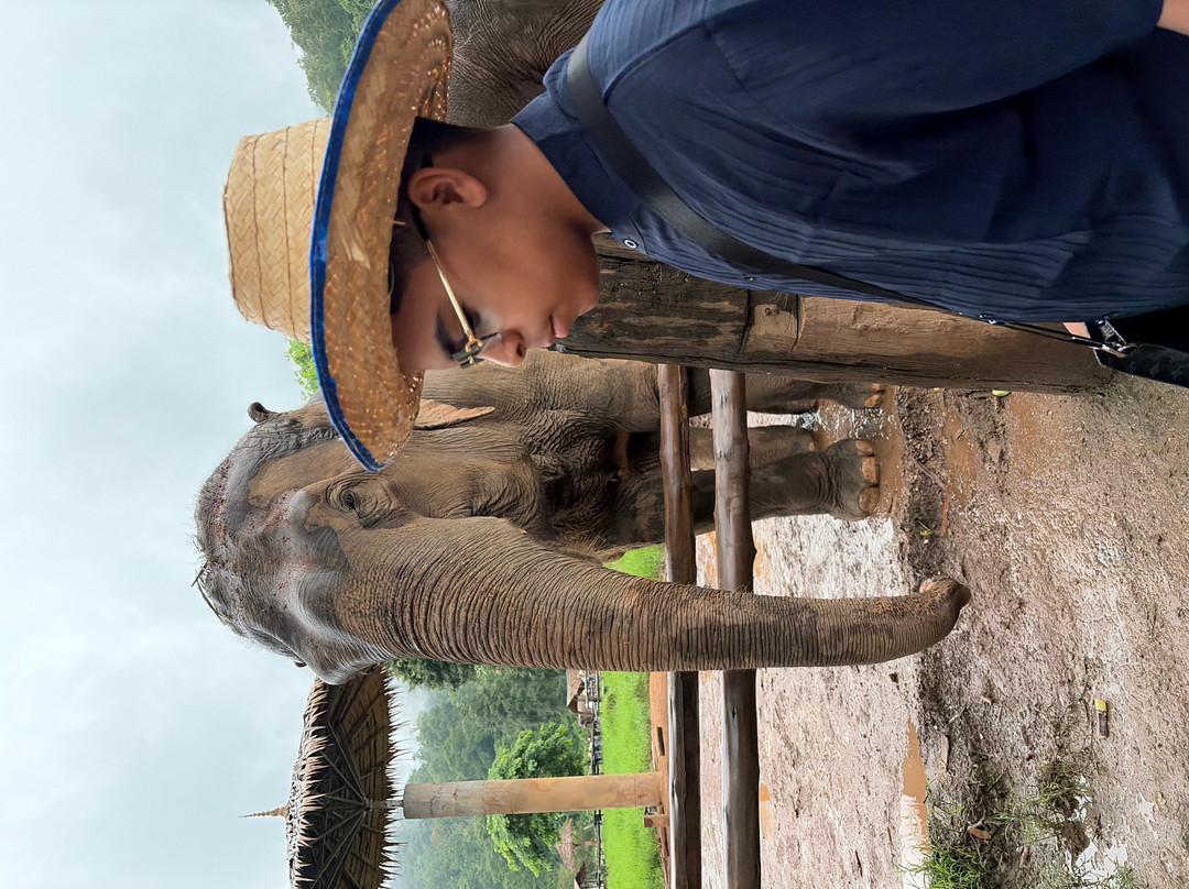 Tee Chiangmai Private Tour-清迈必去景点