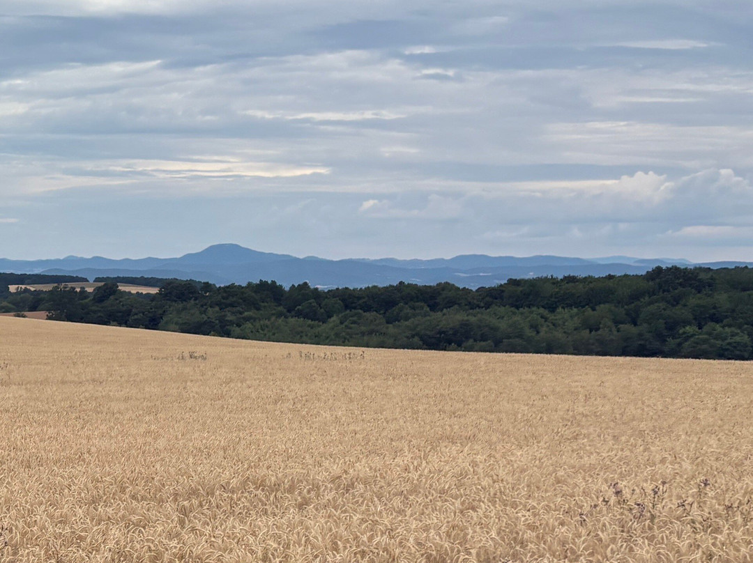 Krupinska Planina-Krupina必去景点