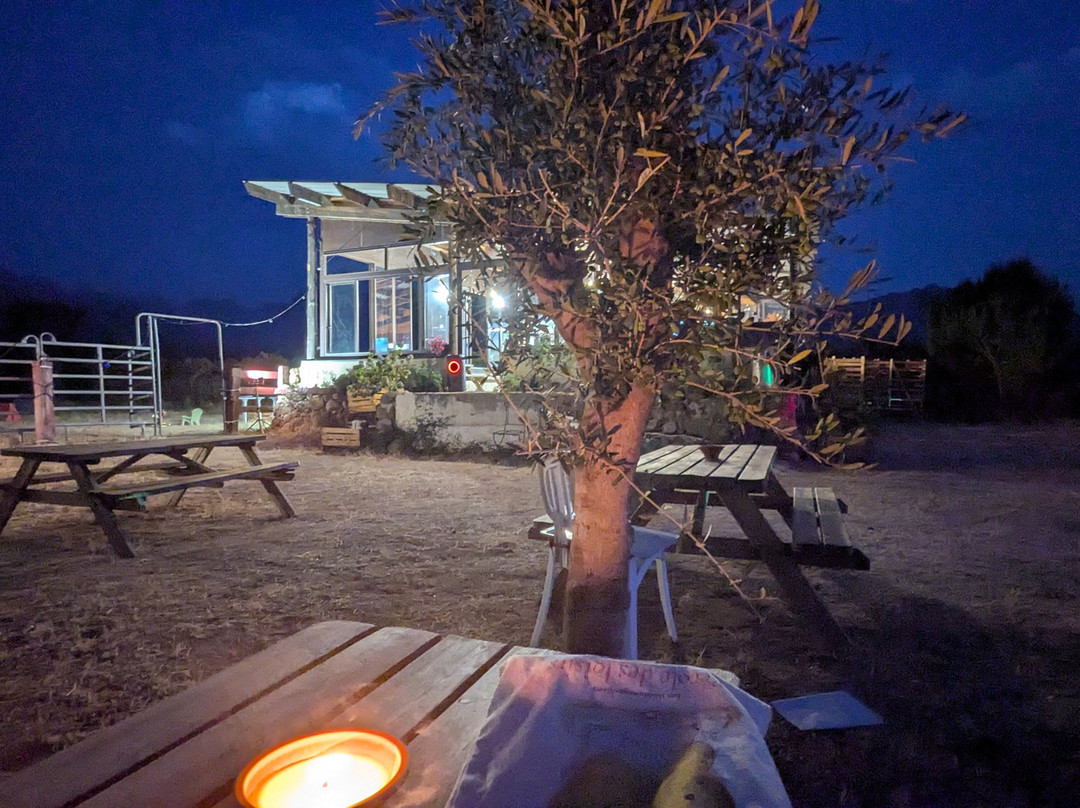 O' Paradisu Ranch
