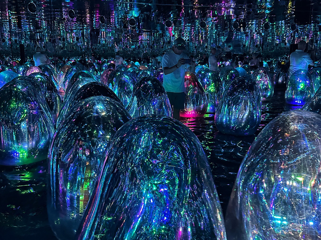 teamLab Phenomena Abu Dhabi-阿布扎比必去景点