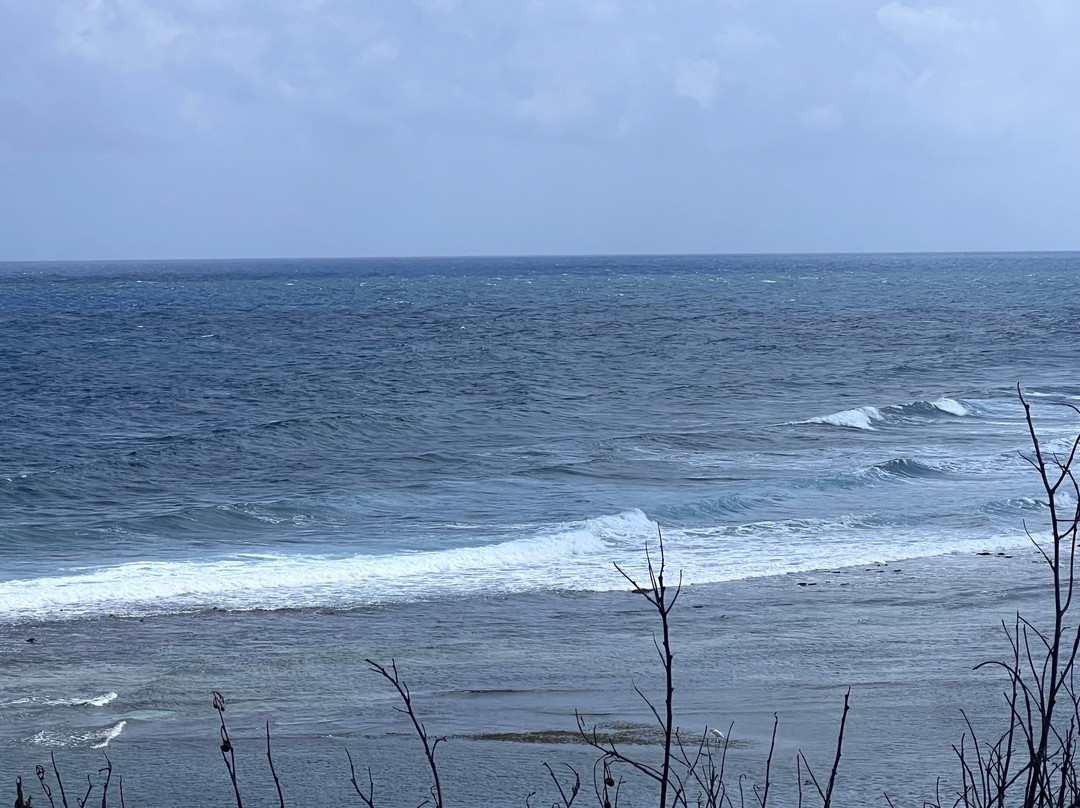 Shoy Beach-圣克鲁斯必去景点