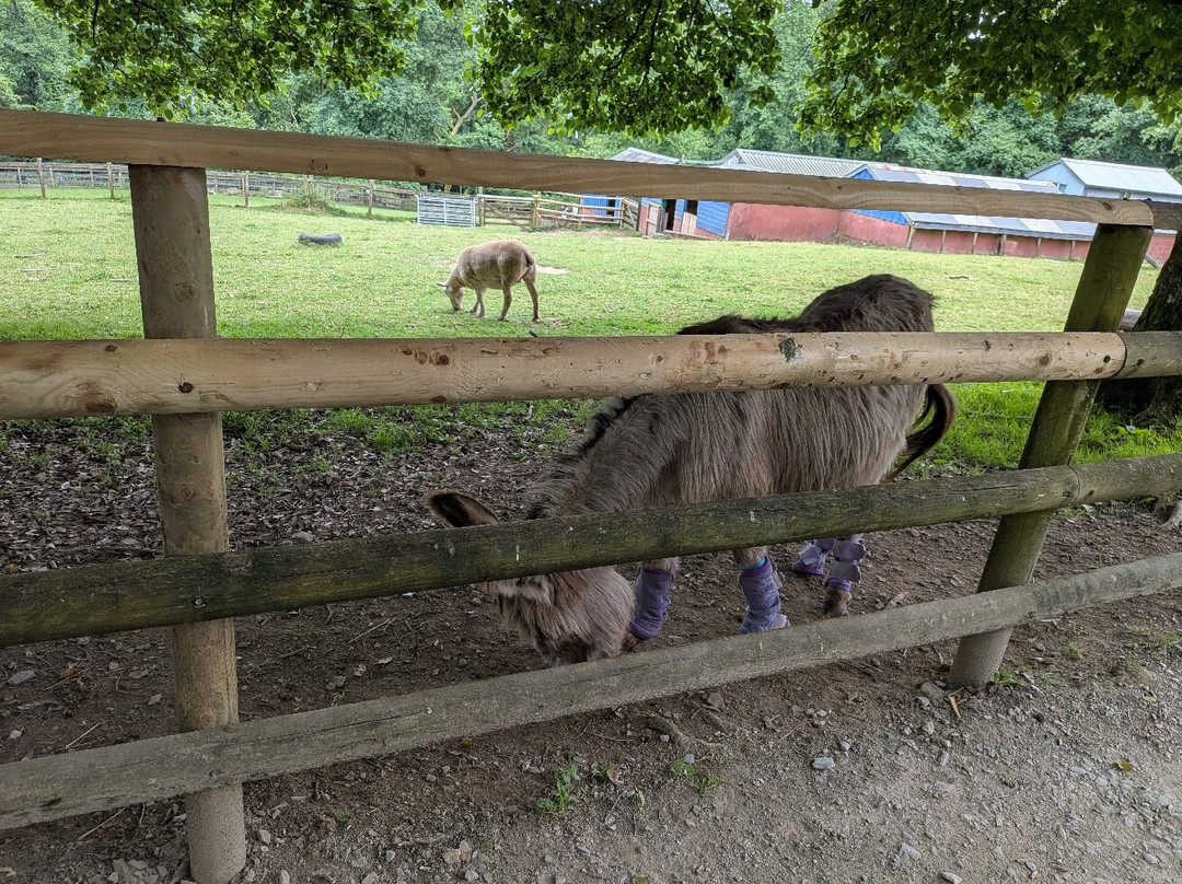 Porfell Wildlife Park & Sanctuary-利斯卡德必去景点