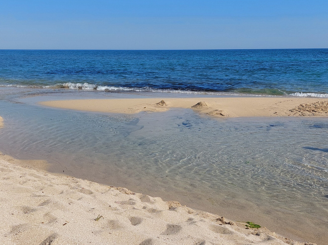 Spiaggia Di Borraco-San Pietro in Bevagna必去景点