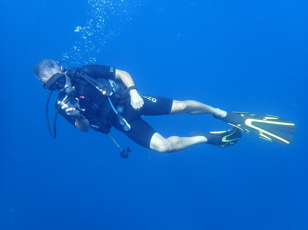 Menjangan Tour Snorkeling & Diving-Pejarakan必去景点