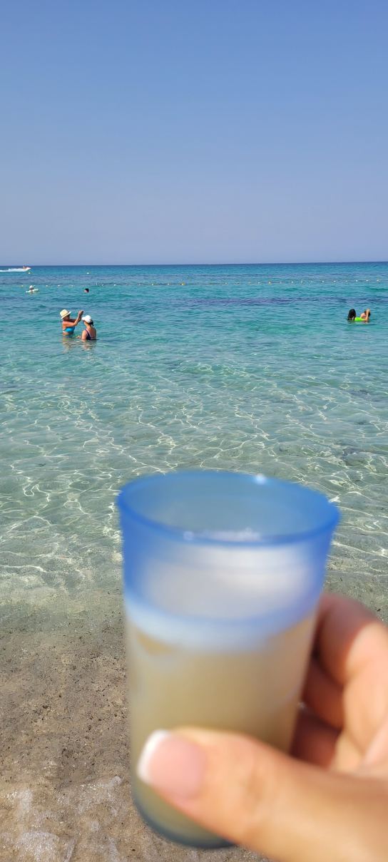 埃尔曼苏尔伊贝罗斯塔选择皇家酒店-旅行者