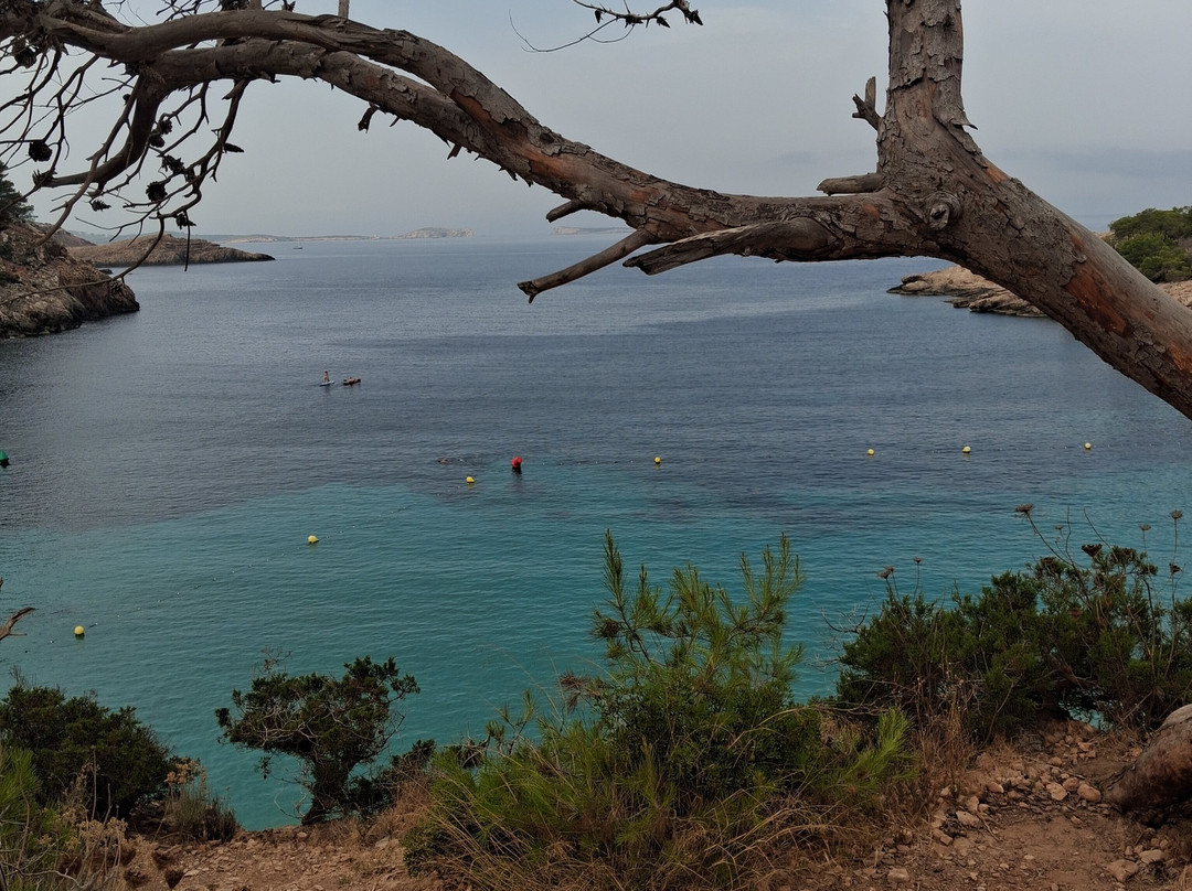 Cala Saladeta-圣安东尼德波特曼尼必去景点