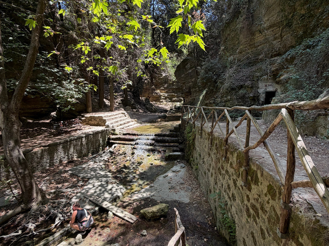 Rodini Park-罗德斯必去景点