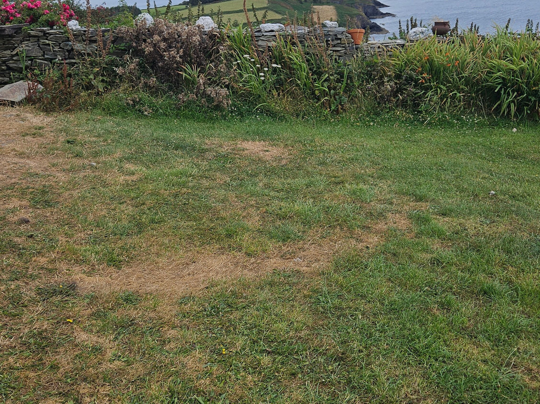 Seaside Alpacas West Cork-Union Hall必去景点