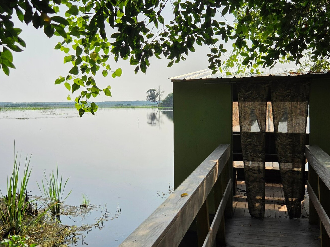 Savannah National Wildlife Refuge-Hardeeville必去景点