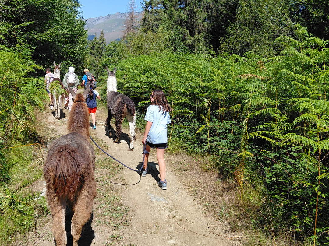 Les Lamas Des 7 Vallees-Pierrefitte Nestalas必去景点